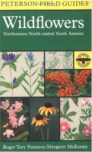 americanbookwarehouse10-919655