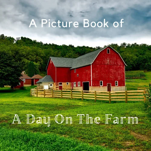 americanbookwarehouse11-1112805