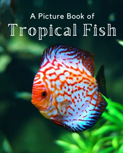 americanbookwarehouse11-1113839