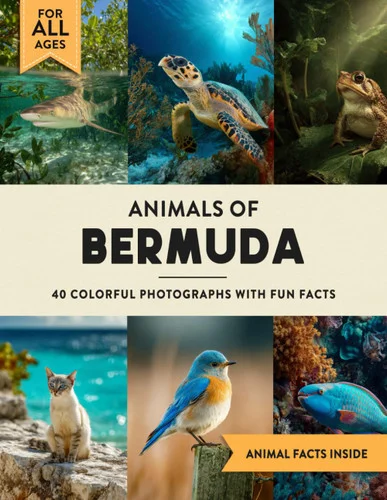 americanbookwarehouse11-1128075