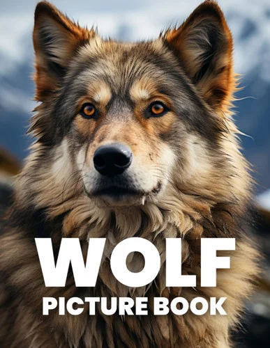 americanbookwarehouse11-1130248
