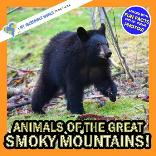 americanbookwarehouse12-1790815