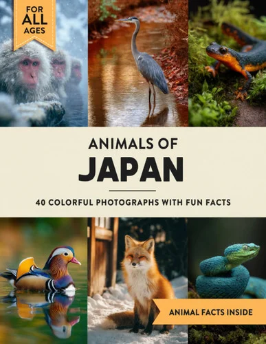 americanbookwarehouse12-1799202