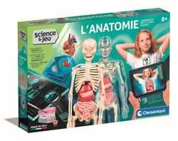 antoineonline8-1255836