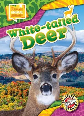 discountmags10-1423939