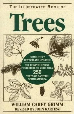 discountmags11-1519162
