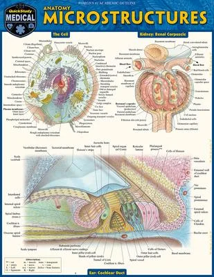 discountmags12-1614085