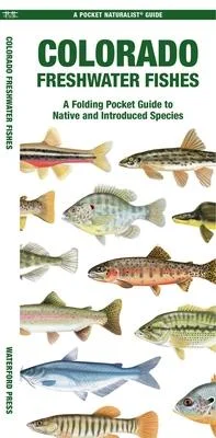 discountmags15-1710734