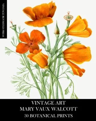 discountmags9-1228917