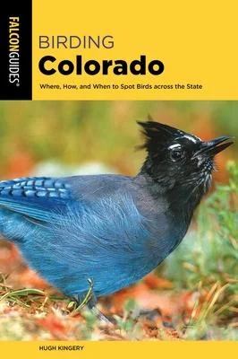discountmags9-1281940