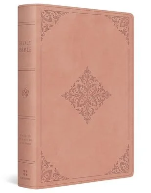 tatteredcover171271834